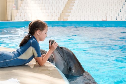 dolphin facts, dolphin getting a kiss