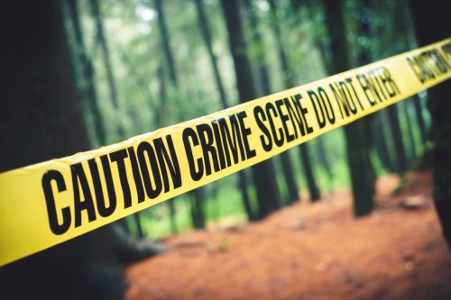 crime scene tape in the woods