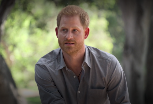 Prince Harry in "The Me You Can't See"