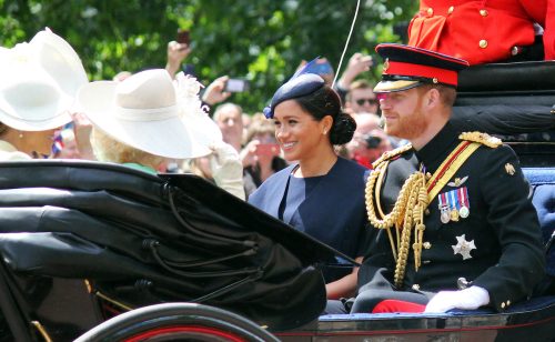 Meghan Markle and Prince Harry at Trooping the Colour in June 2019