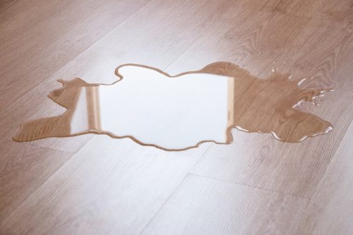 Water puddle on laminate floor.