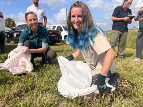 Florida Python Challenge