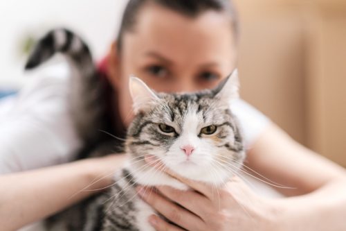 The girl holds in her hands an evil dissatisfied cat. 