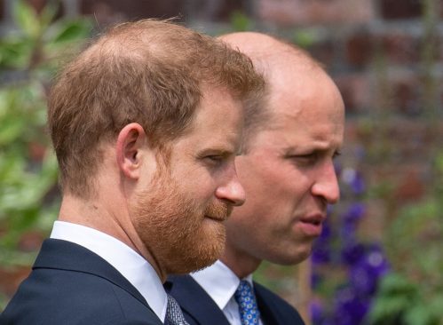 Prince Harry, Duke of Sussex and Prince William, Duke of Cambridge