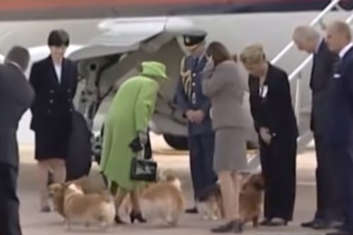 Queen Elizabeth II at airport with her corgi dogs.
