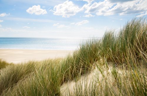 sunny beach with sand dunes and blue sky