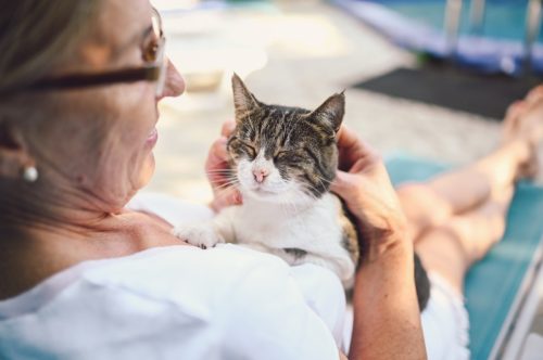 Happy smiling senior elderly woman in glasses relaxing in summer garden outdoors hugging domestic tabby cat.