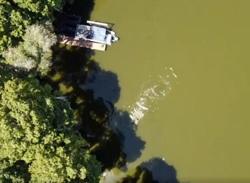 Alligator attack of triathlete swimming in preparation for event is visible in drone footage taken above Lake Thonotosassa, FL