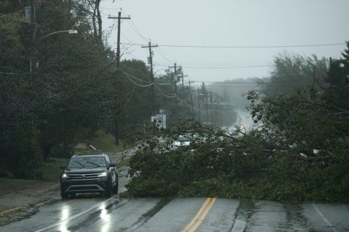 Vehicles navigate around a downed tree from Post-Tropical Storm Fiona.