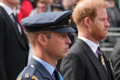 Prince William, and Prince Harry follow the coffin of Queen Elizabeth II as it is pulled on a gun carriage through the streets of London following her funeral service at Westminster Abbey in central London Monday