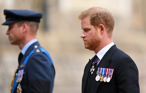 Prince William, Prince of Wales and Prince Harry, Duke of Sussex