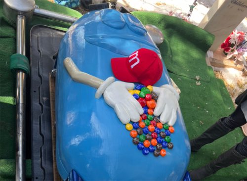 Arizona grandmother's M&M-themed funeral casket goes viral