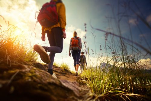 three hikers walk on a grassy trail