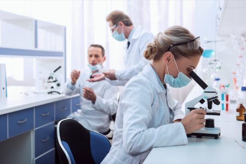 Scientists working in lab