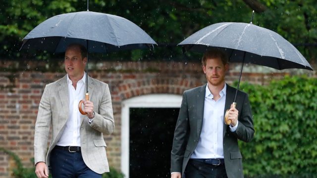 Prince Harry, Prince William, 20th Anniversary Princess Diana's death, 2017