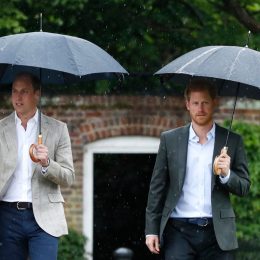 The Real Reason Why Prince William and Harry Will Spend 25th Anniversary of Diana's Death Apart Today
