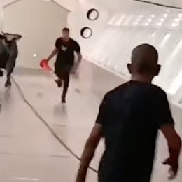 Bull charging in bank.