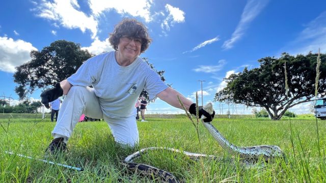 Florida Python Challenge