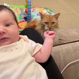 This Photobombing Cat is "Plotting to Kill" Baby, Jokes Mom