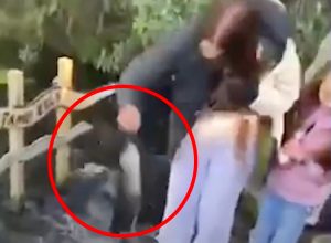 Video Shows Eel Biting Woman Who Was “Fishing” For Her Phone in Pond