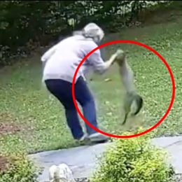 Video Shows Woman Fighting Off Rabid Fox. “I Had No Choice But to Fight Back”