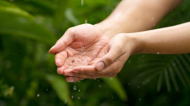 Rain water drop to cupped hand with green nature background metaphor abundance of freshwater and nature. Ecosystem and sustainable lifestyle.