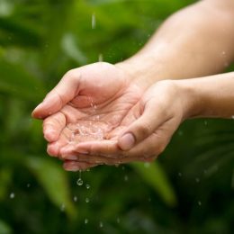 Rain water drop to cupped hand with green nature background metaphor abundance of freshwater and nature. Ecosystem and sustainable lifestyle.