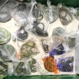 Man Who Smuggled 60 Snakes and Reptiles in His Pants Pleads Guilty to Federal Charges