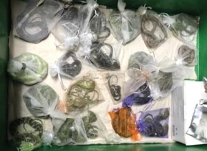 Man Who Smuggled 60 Snakes and Reptiles in His Pants Pleads Guilty to Federal Charges