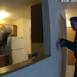 Wild Turkey Dodges Cops In Slapstick Apartment Chase