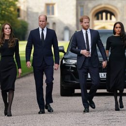 The Truth About the Awkward Reunion of the Royal “Fab Four”