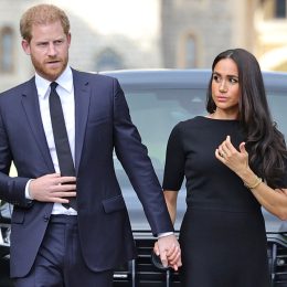 Harry and Meghan “Did Not Break Protocol” With This Intimate Gesture, Royal Experts Say