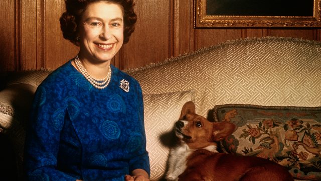 Queen Elizabeth II with Corgi