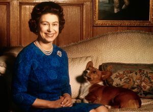 This Infamous Royal Might Inherit The Queen’s Corgis, Enraging Fans