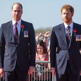 The Real Reason Why Princes William and Harry Can’t Fly on a Plane Together