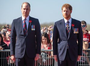 The Real Reason Why Princes William and Harry Can’t Fly on a Plane Together