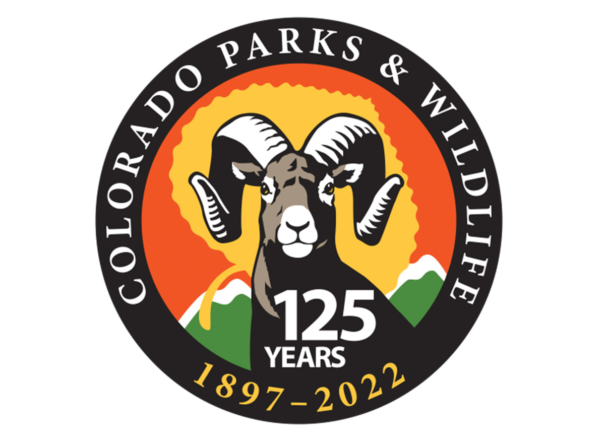 Moose Attacks Hunter Who Shot It With an Arrow