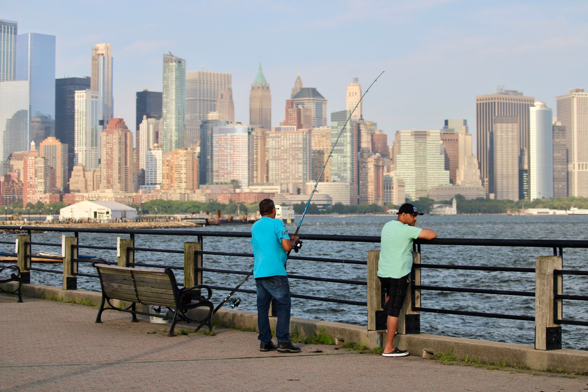 Video Shows Man Catching Shark in NYC’s Hudson River