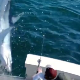 Video Shows Shark Jumping Out of Nowhere Onto Boat as Terrified Fishermen Flee Deck in Panic