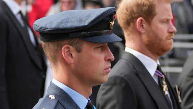 Prince William, and Prince Harry follow the coffin of Queen Elizabeth II as it is pulled on a gun carriage through the streets of London following her funeral service at Westminster Abbey in central London Monday