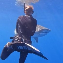 Video Shows How to Avoid Shark Attack. “Don’t Splash, Always Make Eye Contact, Look Like Predator”