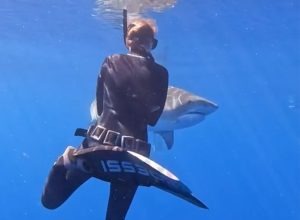 Video Shows How to Avoid Shark Attack. “Don’t Splash, Always Make Eye Contact, Look Like Predator”