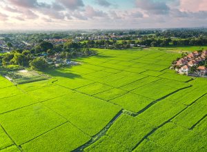 This is Actually How Much Land the Military Owns, New Map Reveals. (It’s More Than You Think.)