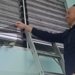 Video Shows Giant Python in Elementary School, Removed by Snake Catcher