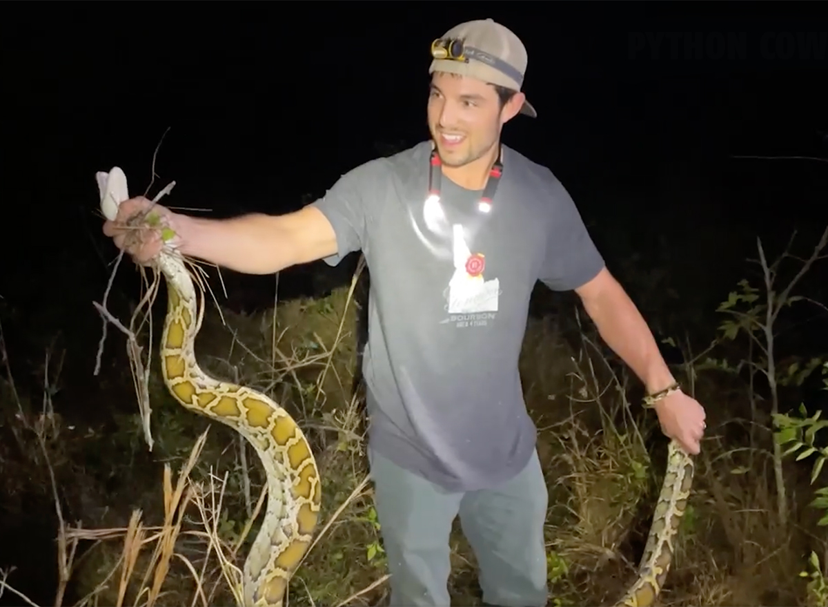 Video Shows Giant Python Grabbing Man After Man Grabs Python