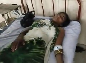 Hero Mom Fights Tiger With Bare Hands to Save 15-Month-Old Son