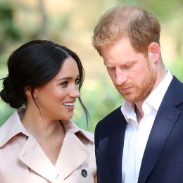 The Secret Prince Harry and Meghan Markle Kept From Public Revealed, Insiders Claim