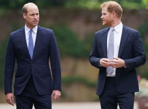 The Real Reason Prince Harry Snubbed William’s Offer of Crisis Talks, Claims Royal Author