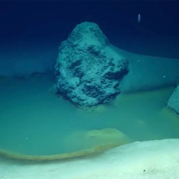 Scientists Discovered a Real-Life “Death Pool” on the Bottom of the Sea. It Kills Everything That Swims Into It