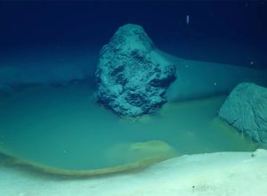 Scientists Discovered a Real-Life “Death Pool” on the Bottom of the Sea. It Kills Everything That Swims Into It